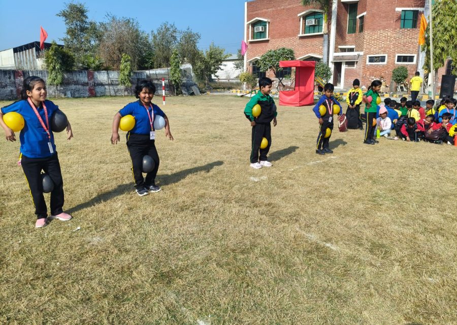 St. Soldier MR Public School